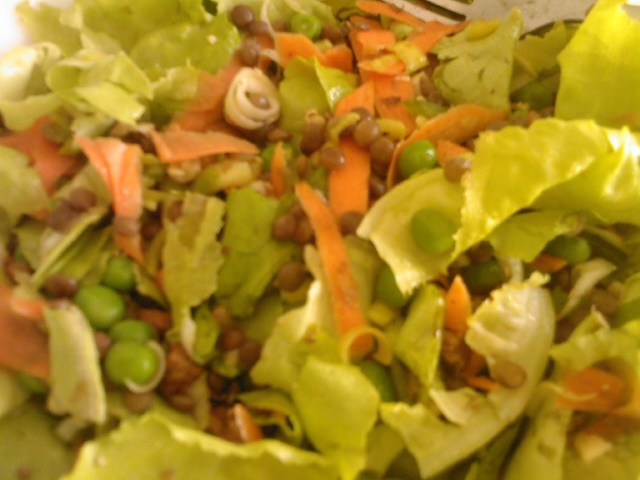 Salada morna de lentilhas